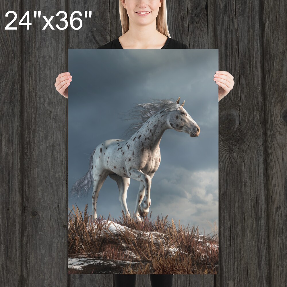 Wild Appaloosa in Winter - Print - Horse Themed Art product 4