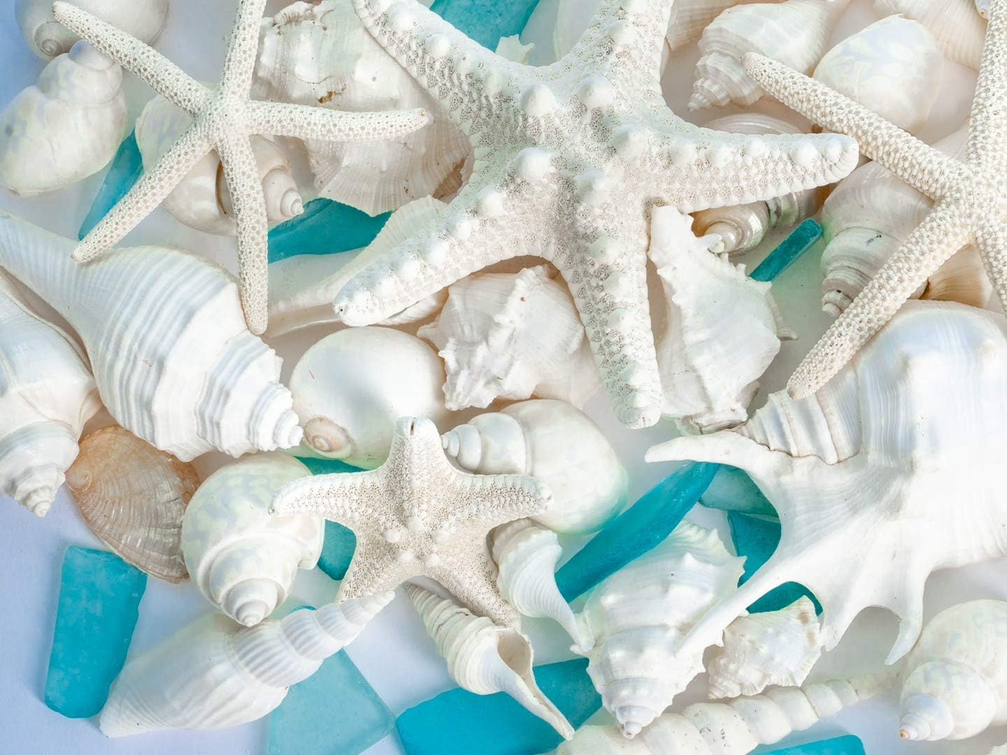 Sea Shells | Real Mixed Beach Seashells with Real Starfish &#x26; Caribbean Blue Sea Glass Seashell Wedding (2 Pack)