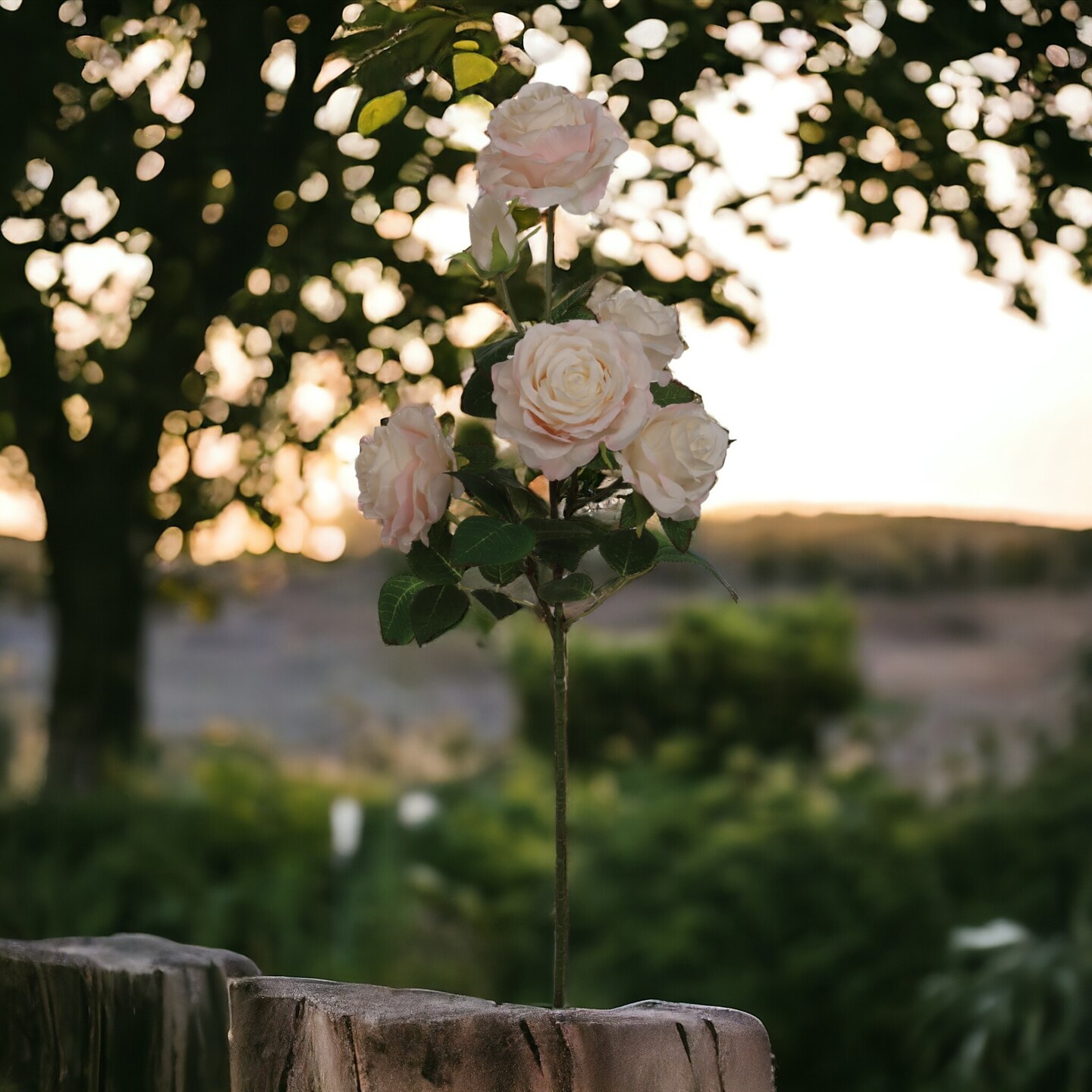 Cream & Pink Rose Spray: Set of 12, 27-Inch, Silk Roses by Floral Home®