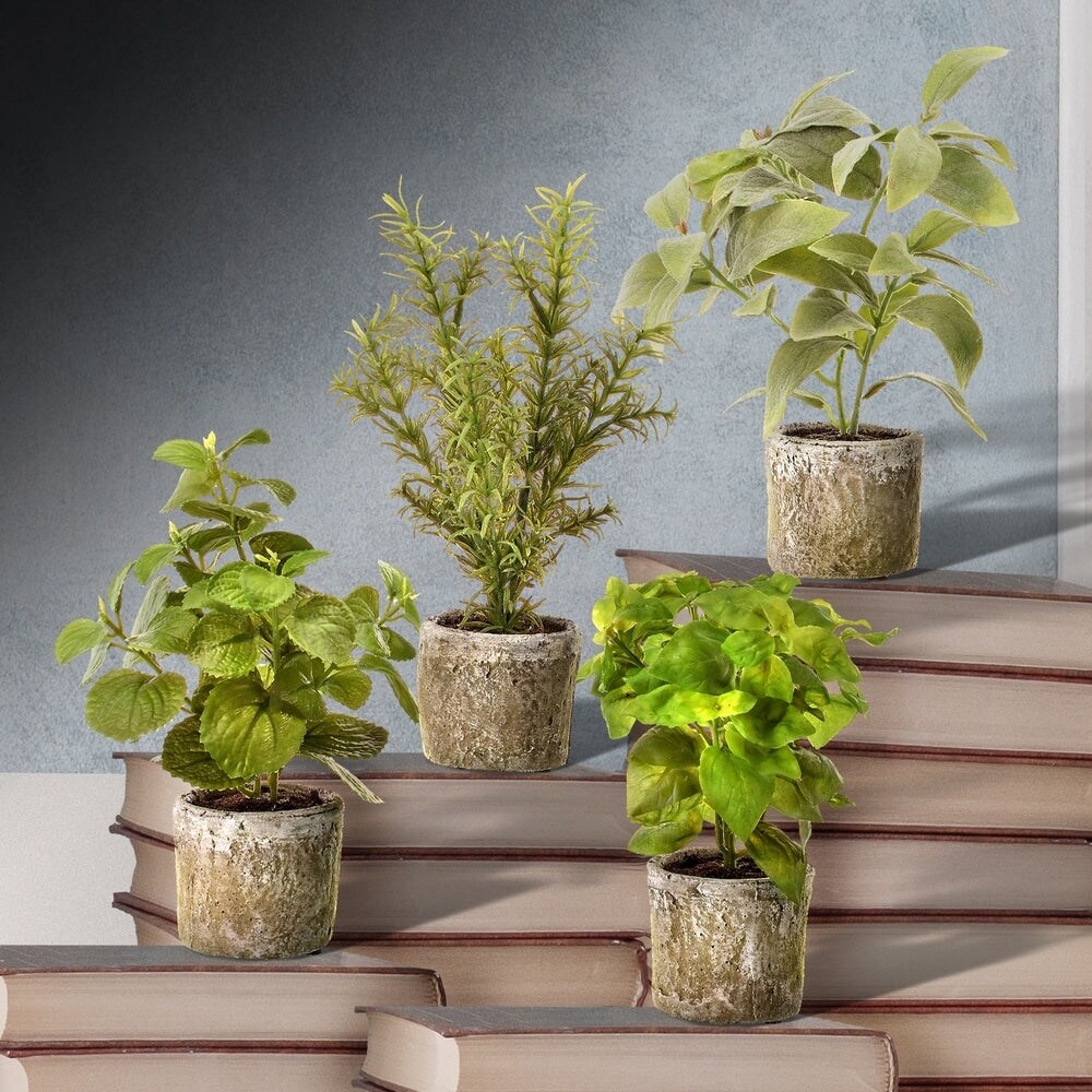 Herb in Pot 9&#x22;