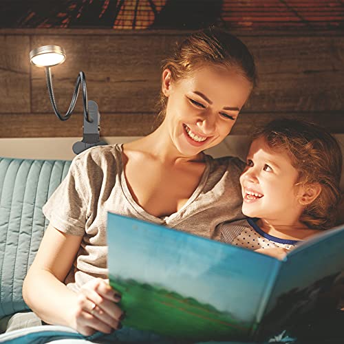 Clip on Light/Reading Light/Book Light Color Changeable/Night Light Clip on for Desk, Bed Headboard and Computers (Silver)