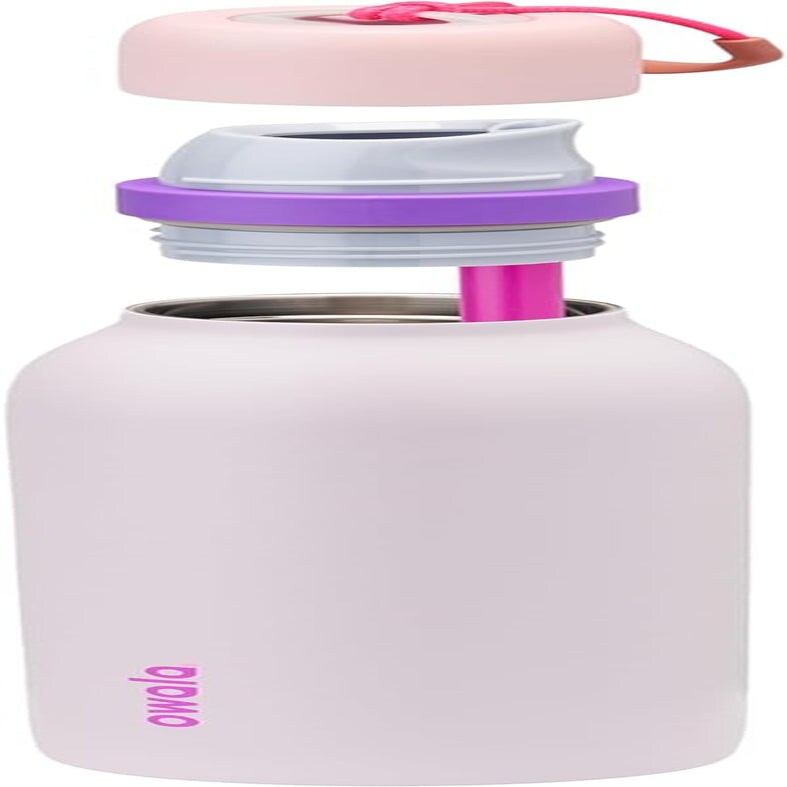Freesip Twist Insulated Stainless Steel Water Bottle with Straw for Sports and Travel, Bpa-Free, 24-Oz, Pink/Purple (Dreamy Field)