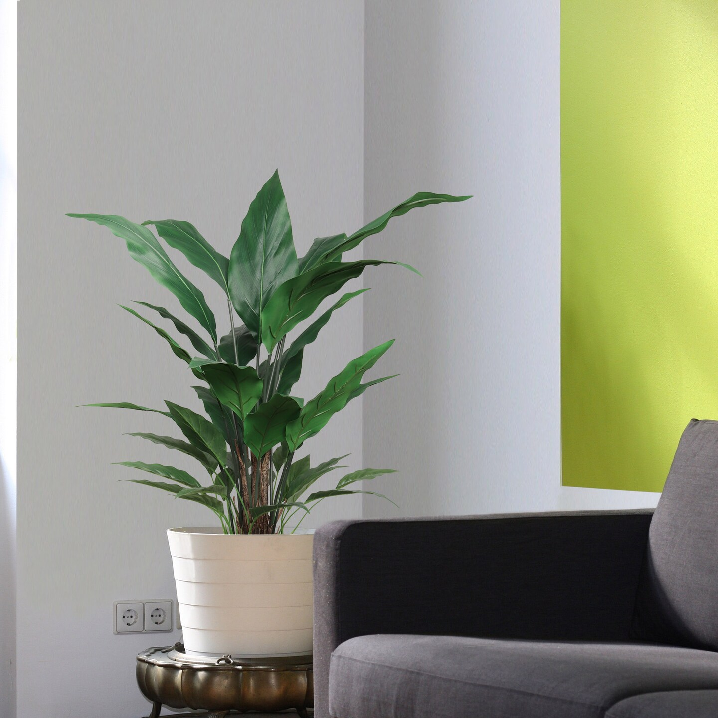 Verdant 3-Foot Peace Lily Plant – Lush Spathiphyllum in Decorative Pot, Air-Purifying Indoor Plant, Perfect for Home or Office Decor