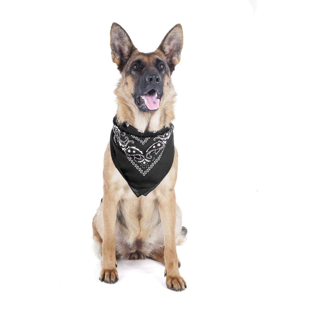 Balec   Paisley Polyester Pets 6 Pack Dogs Bandana Triangle Shape - Oversized