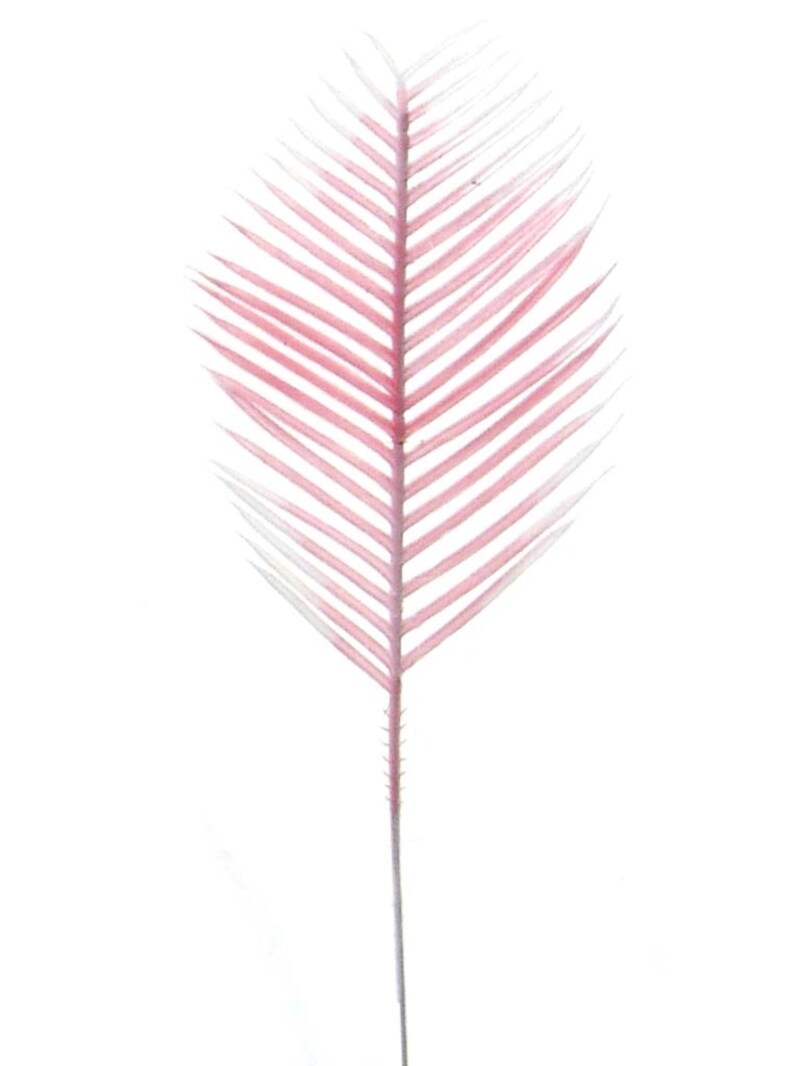 Set of 5 Delicate Pink 5" Cycus Plants - Charming and Vibrant Indoor Décor, Miniature Botanical Delights for Home and Office Spaces, Floral Home by Artificial Flowers