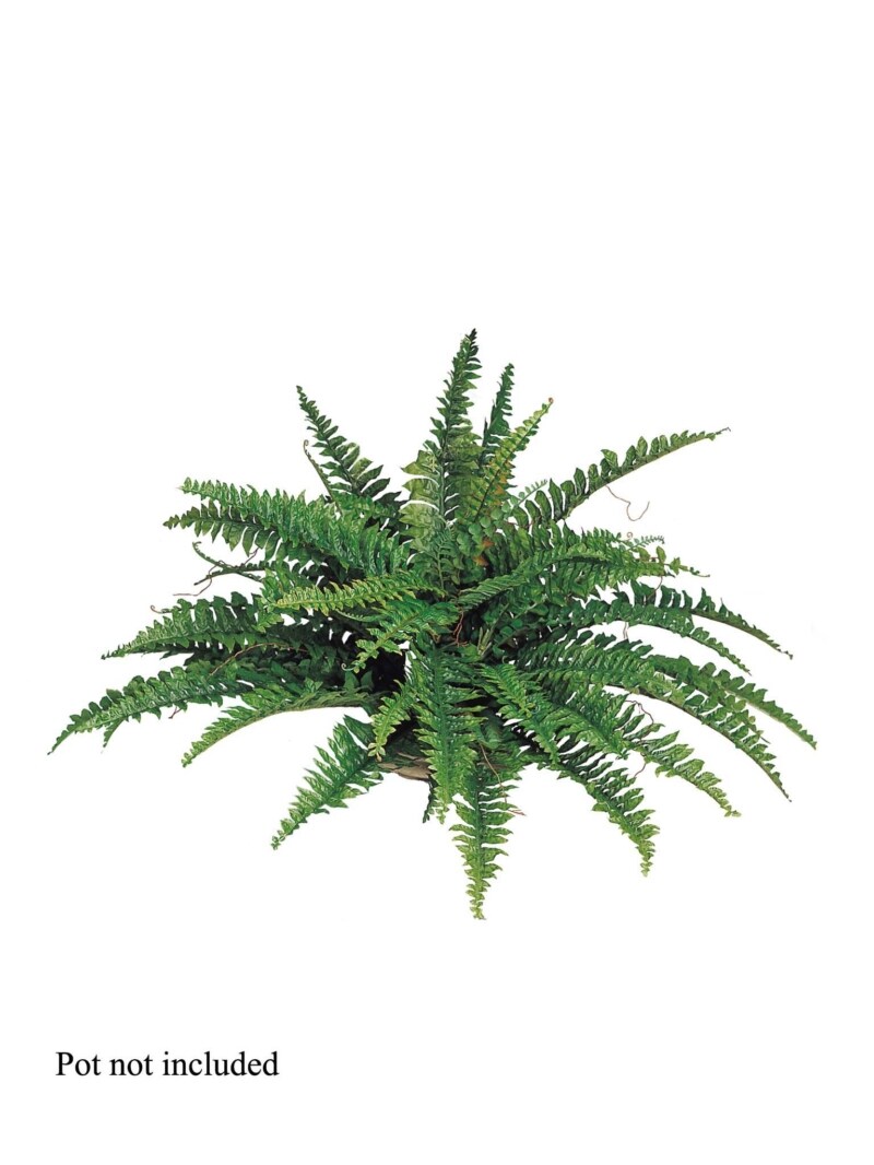 Artificial Ferns Home Decoration, Outdoor Artificial Plants