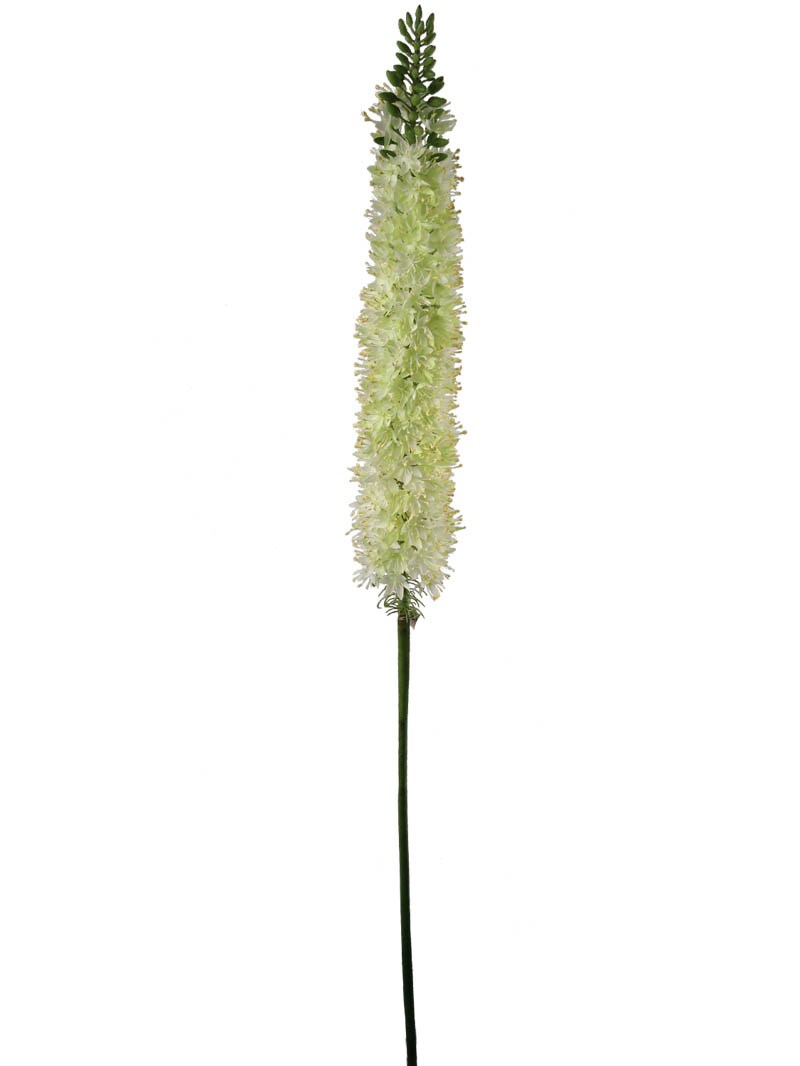 Green Foxtail Spray - 6-Pack, Silk Flowers, Lifelike Greenery, Ideal for Floral Arrangements, Home &#x26; Event D&#xE9;cor - Perfect for All Seasons, Floral Home by Artificial Flowers