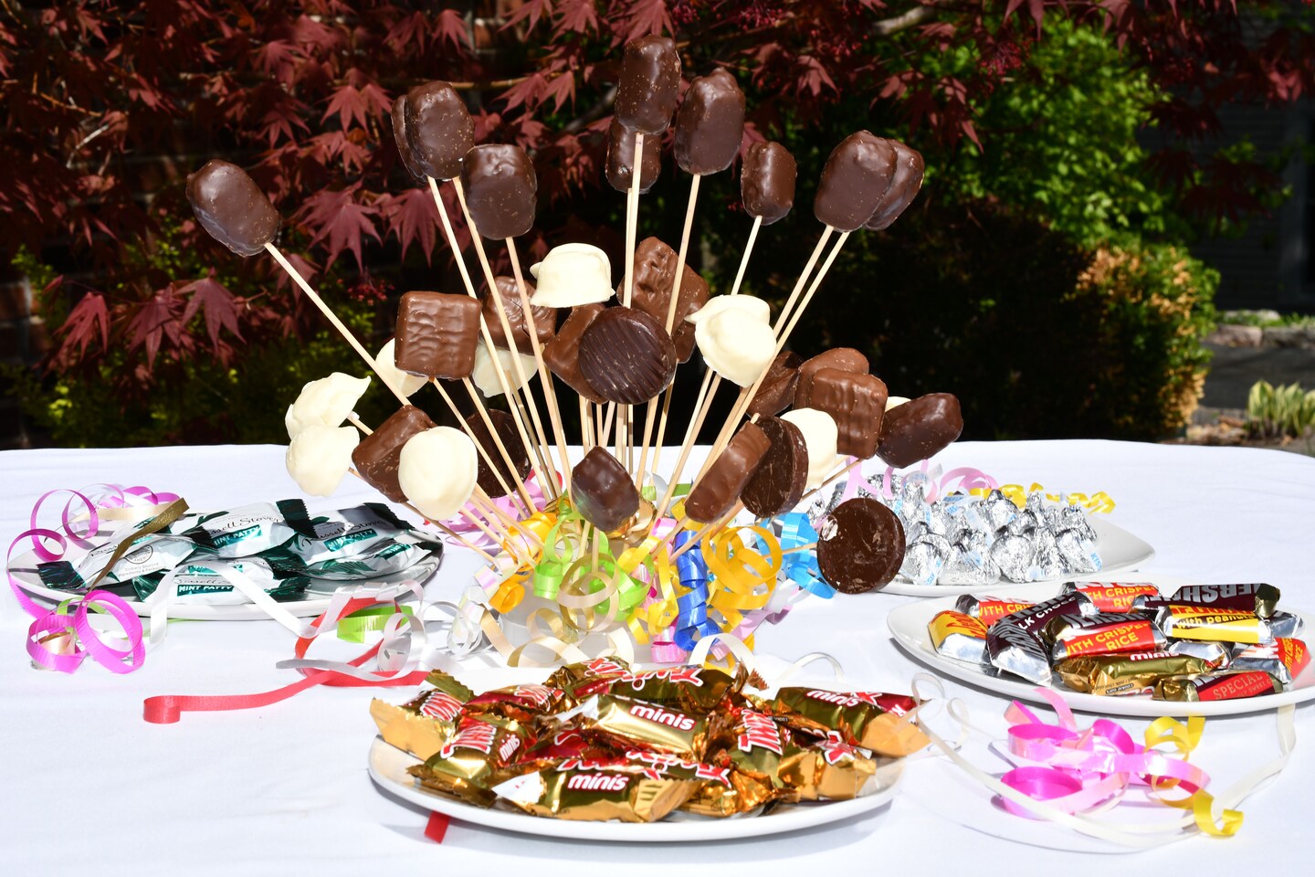 Skewer Food Server - The Dome Includes100 All Natural Bamboo Skewers to display bite-sized fruits, vegetables, meats, cheese, desserts, and other appetizers.