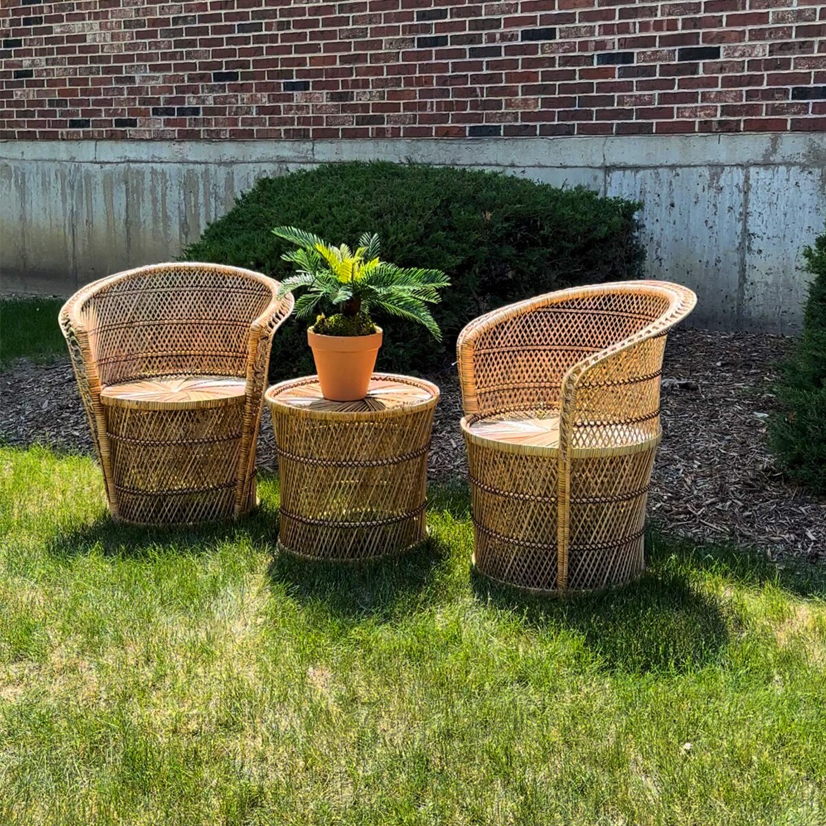 Barrel on sale rattan chair