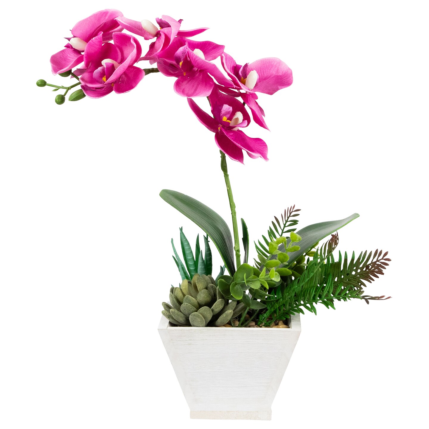 Northlight Artificial Orchid with Succulent Plants - 13&#x22; - Dark Pink