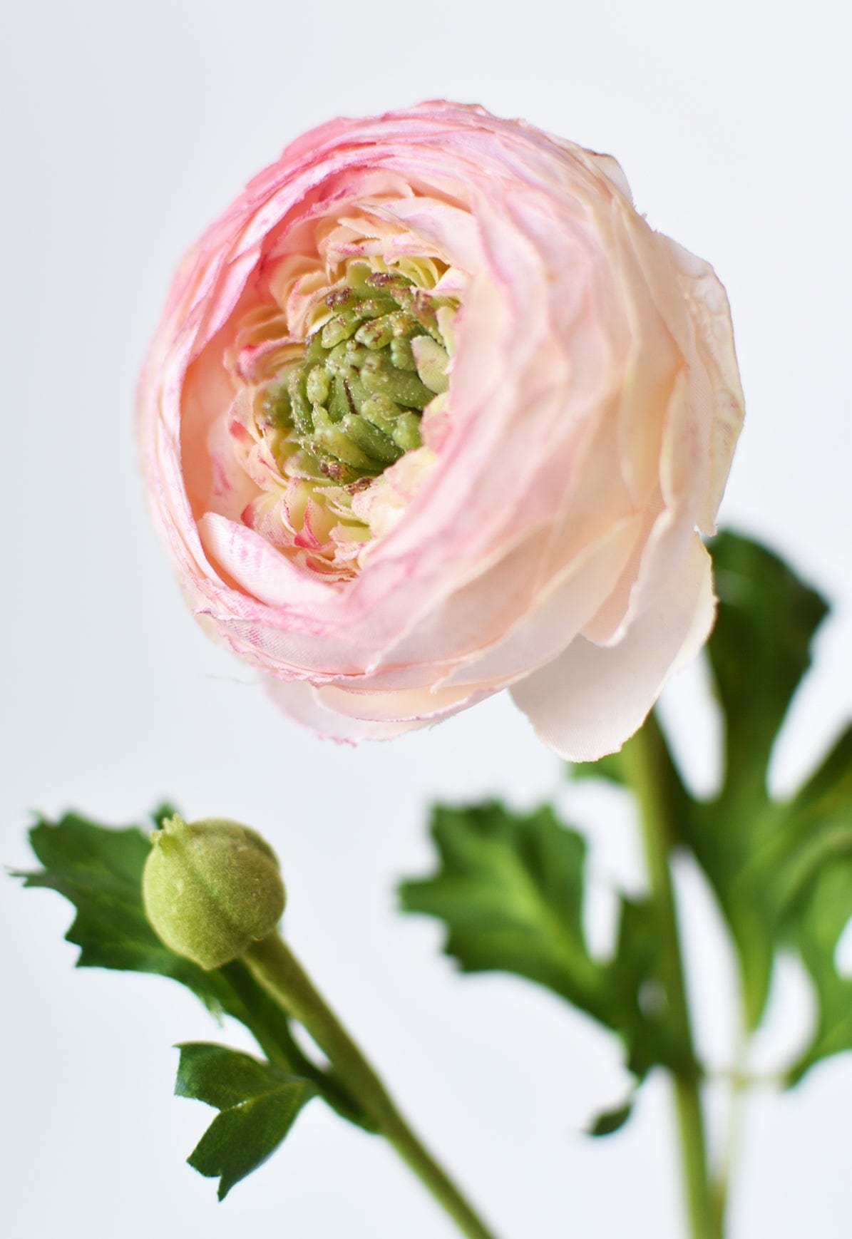 13&#x22; Faux Blush Ranunculus Stem