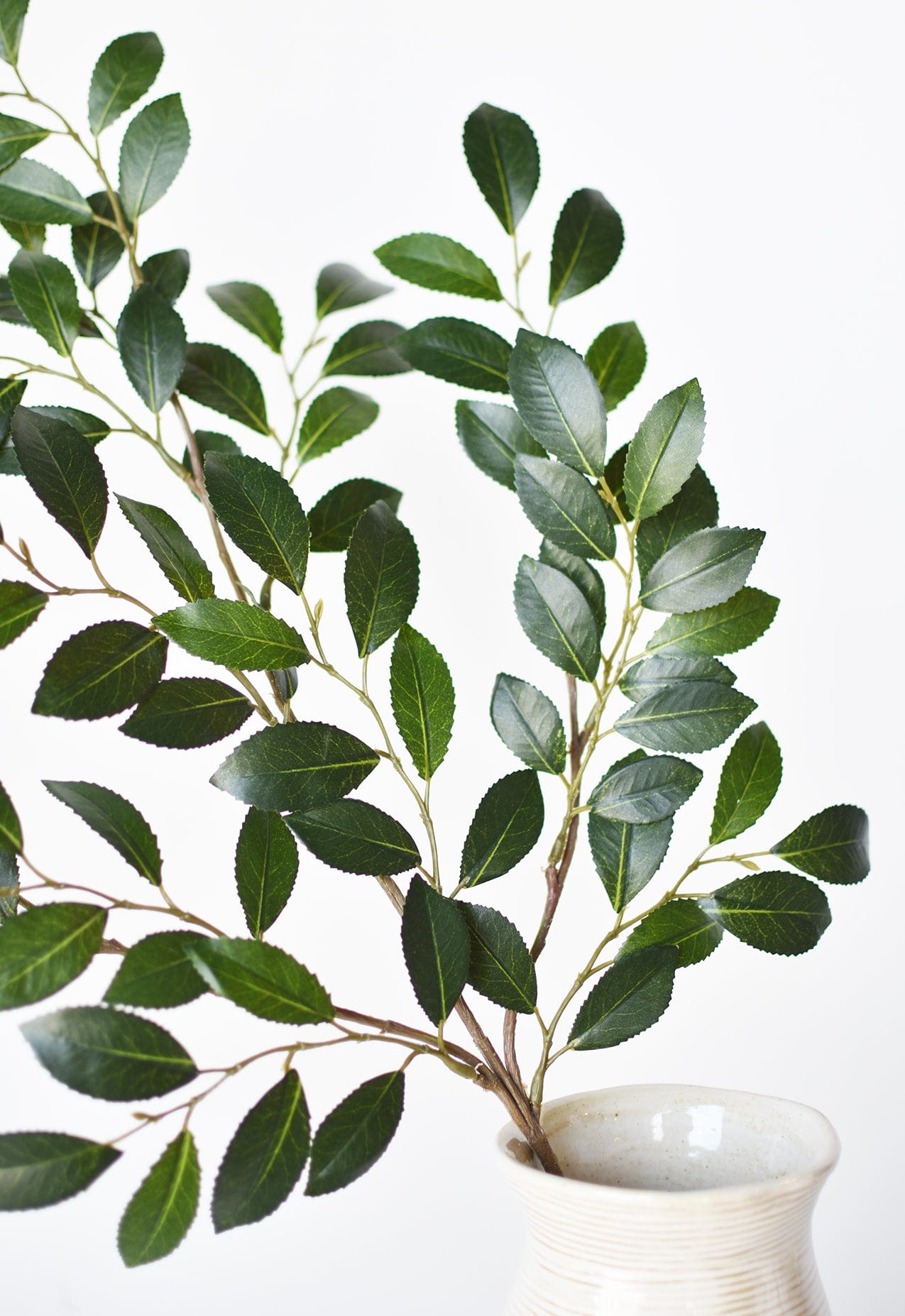 26&#x22; Faux Ruscus Leaf Stem