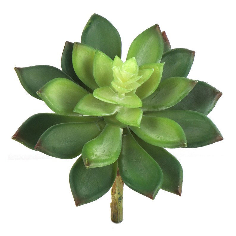 Stylish Hassle-Free 5.5" Artificial Succulent Sedum Plant - Chic Home Decor, Floral Home by Artificial Flowers