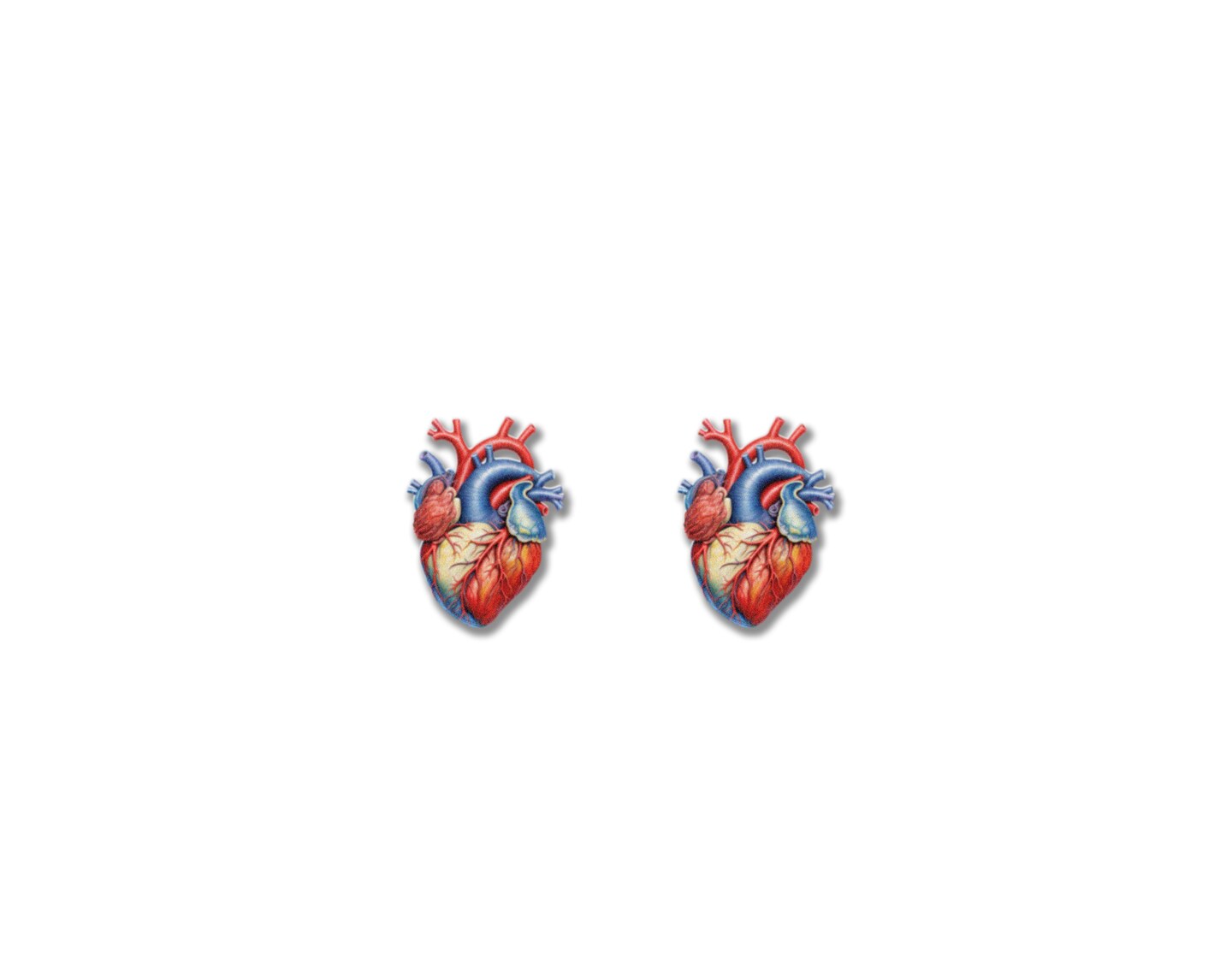 Anatomical Heart Earrings Organ Earrings Anatomy Earrings Heart