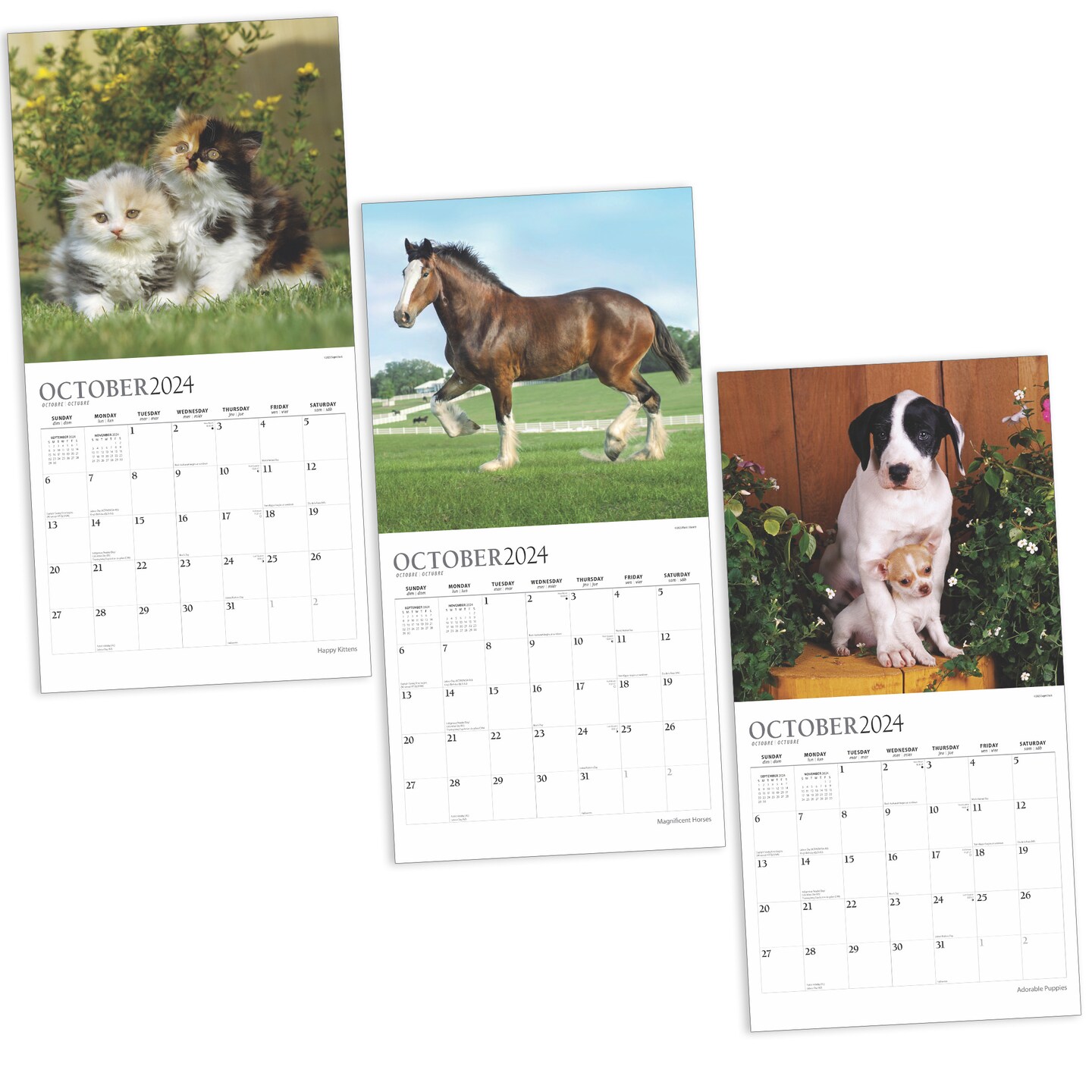 Kittens, Puppies, and Horses 2025 18 Months Bundle | Three Square Wall Calendars | July 2024 - December 2025 | Plato | Animals Pets Family