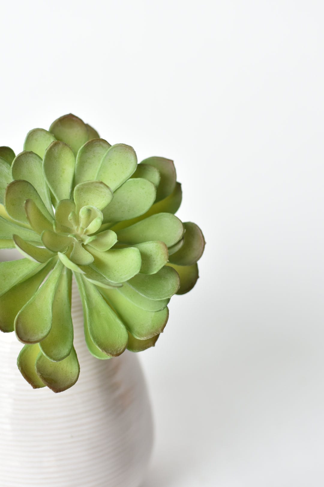 6&#x22; Faux Soft Aeonium Succulent Pick