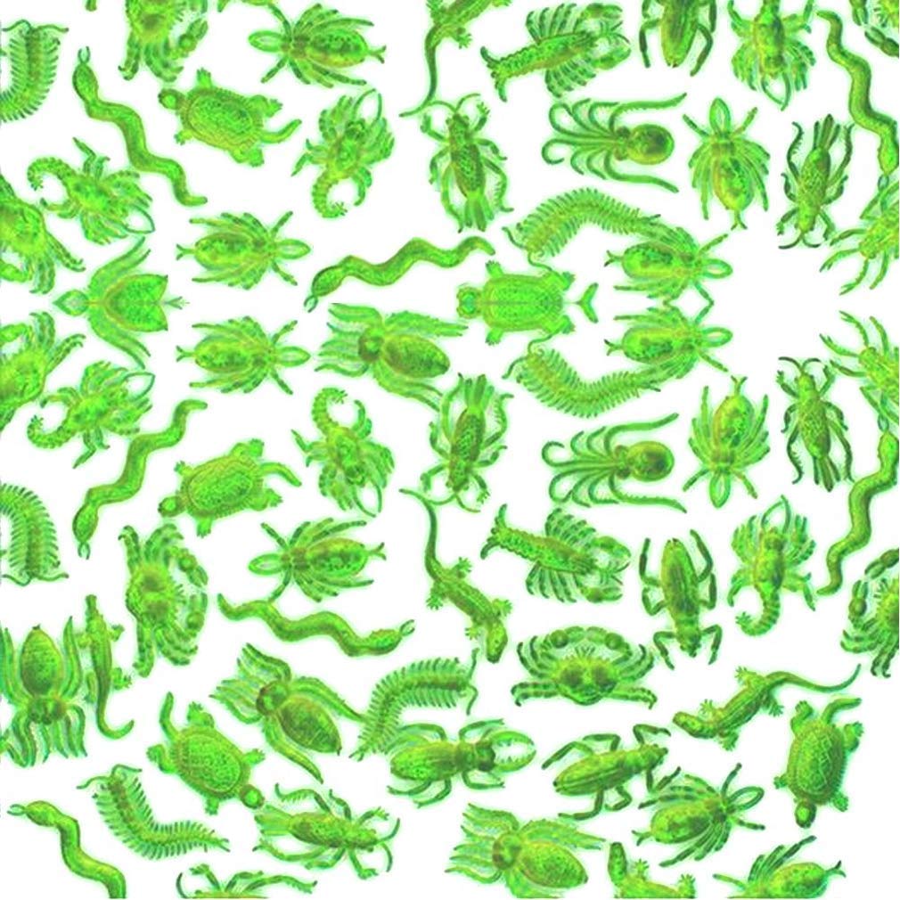 Rhode Island Novelty Glow in The Dark Ctter Assortment - 144 per Unit