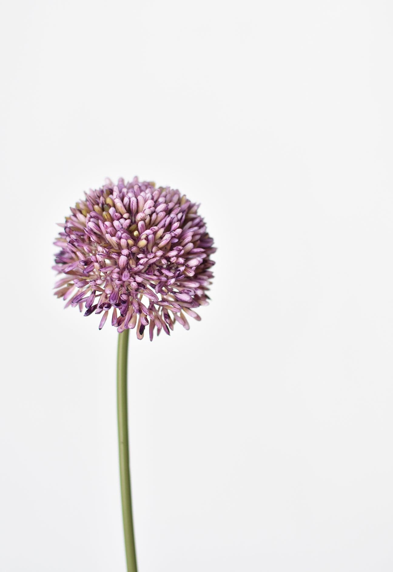 17.5&#x22; Faux Purple Allium Spray Stem