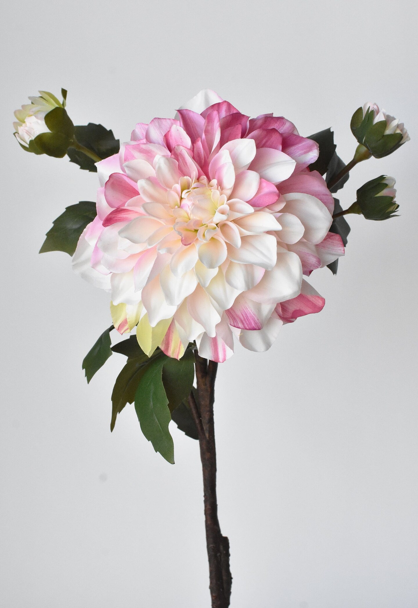 23.5&#x22; Faux Pink / Cream Dahlia w/Bud Stem