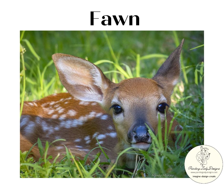 Newborn Fawn - Decoupage & Mixed Media Art Paper (Small - 12x18)