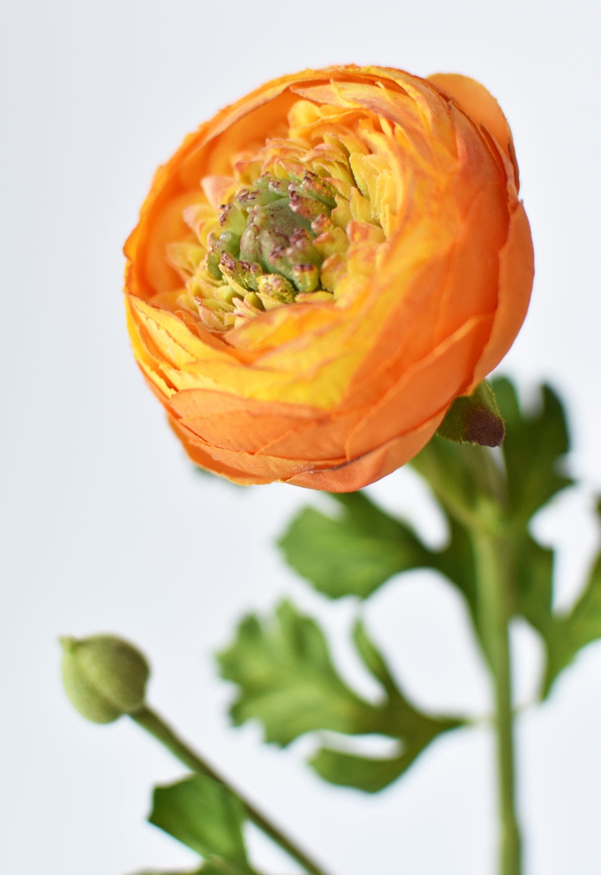 13&#x22; Faux Orange Ranunculus Stem