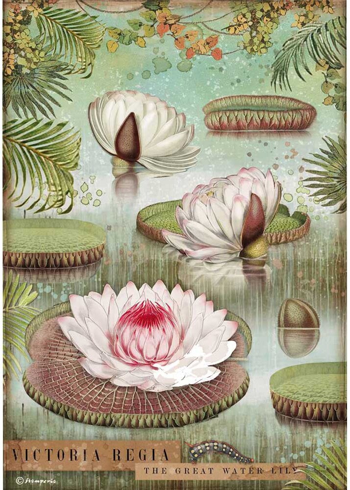 Stamperia Rice Paper Sheet A4-Water Lily, Amazonia