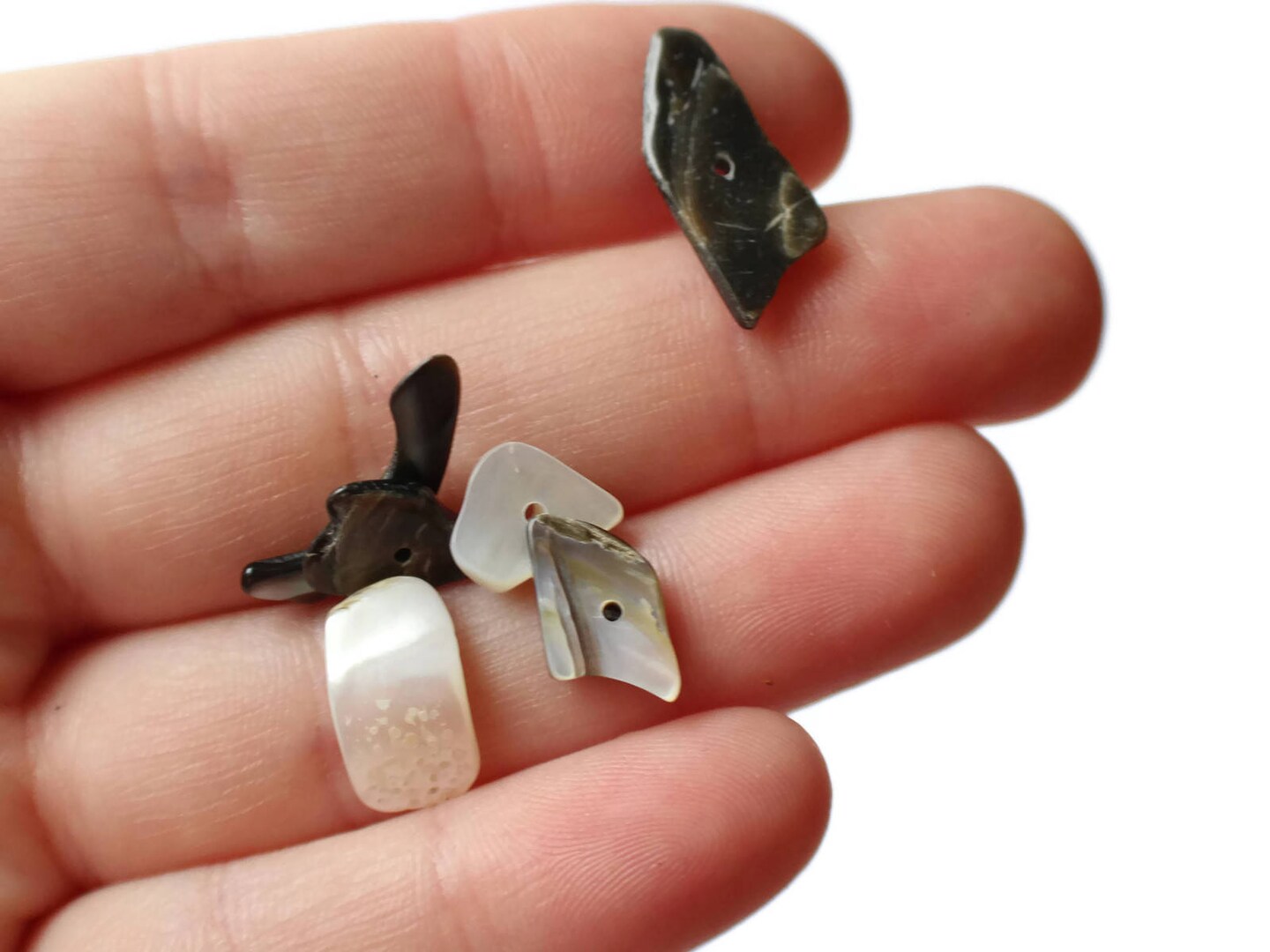 120 Black Lip Shells Bead Chips - 1 oz. Gray Nugget Sea Shell Beads