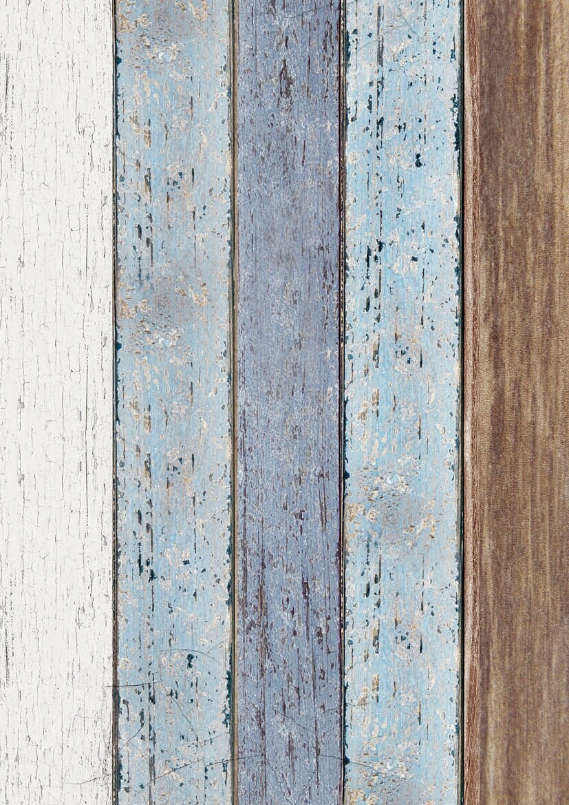 Stamperia Clear Prints Acetate A4 6/Pkg-Romantic Garden House