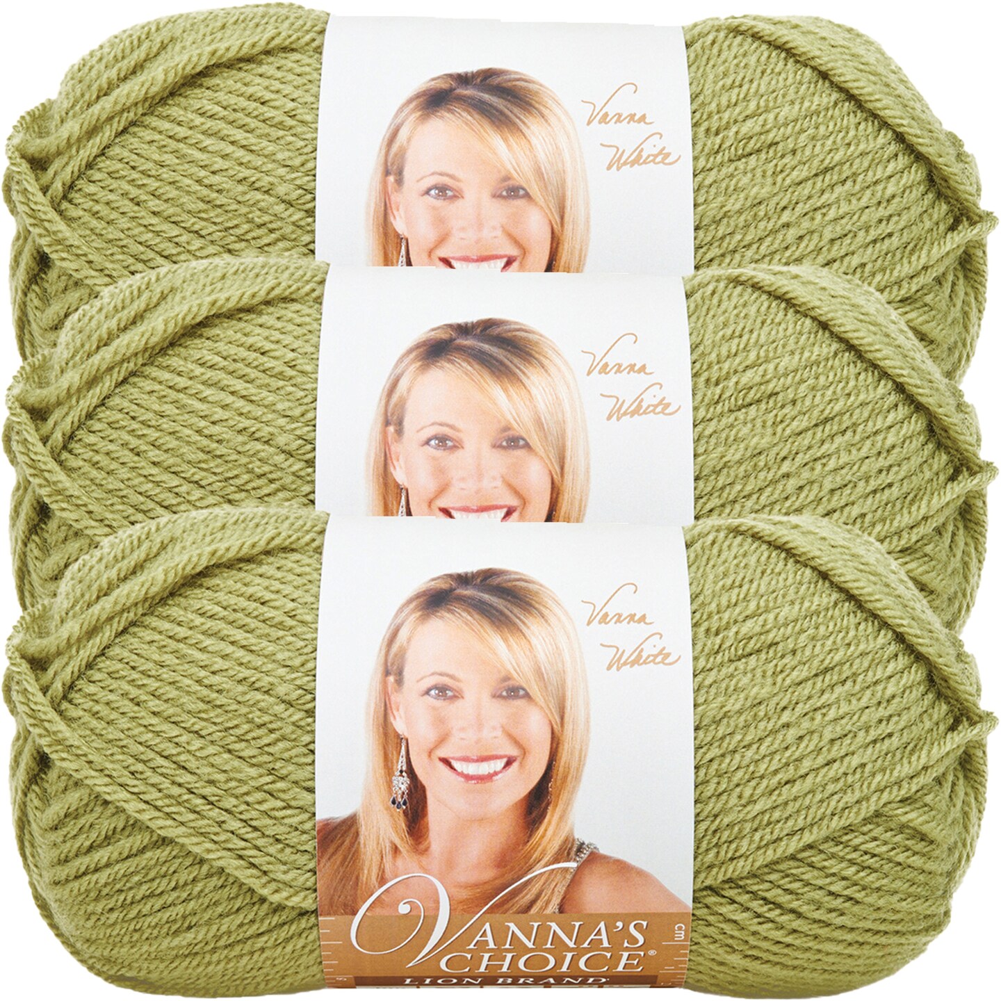 (3 Pack) Lion Brand Vanna&#x27;s Choice Yarn - Dusty Green