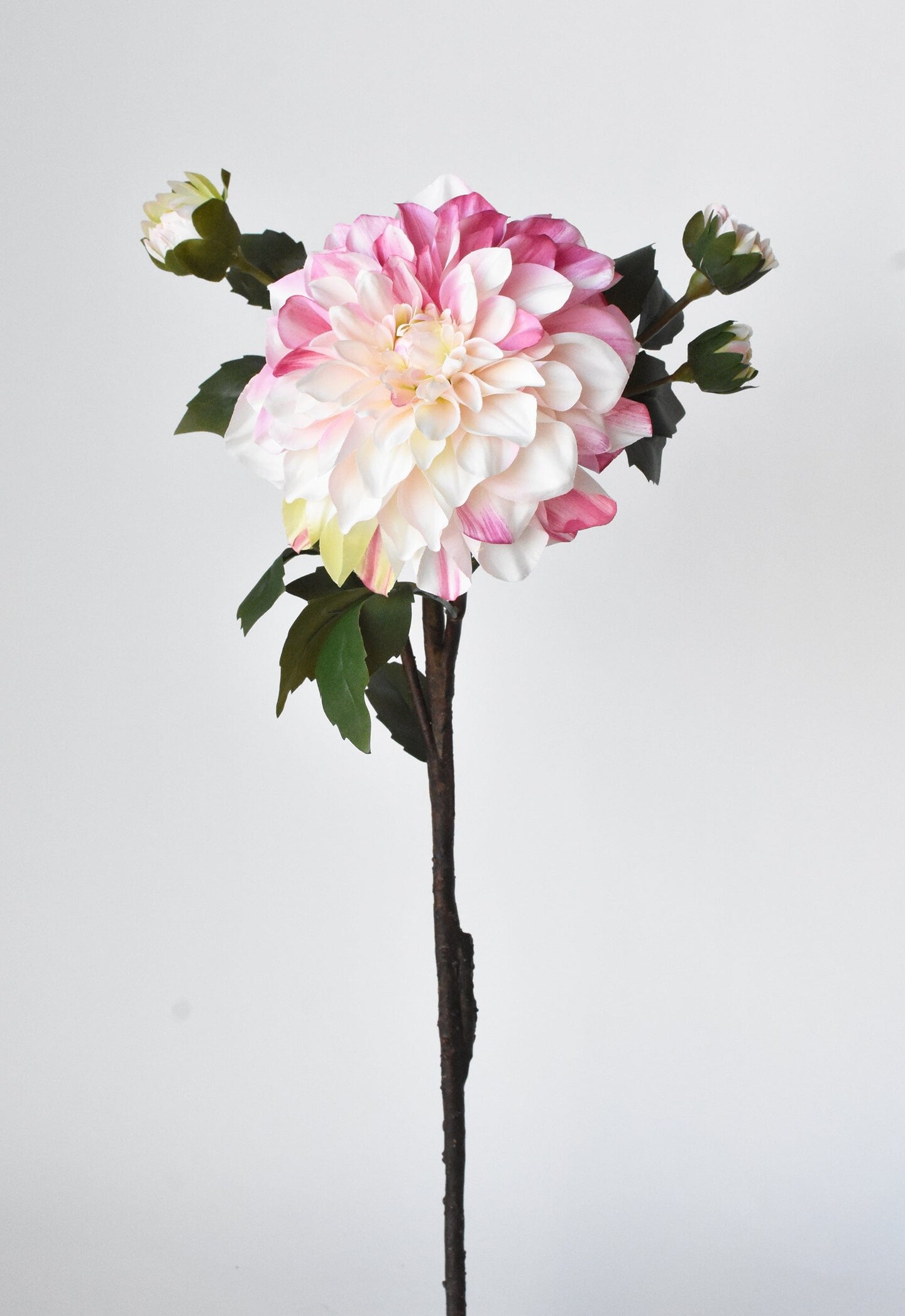 23.5&#x22; Faux Pink / Cream Dahlia w/Bud Stem