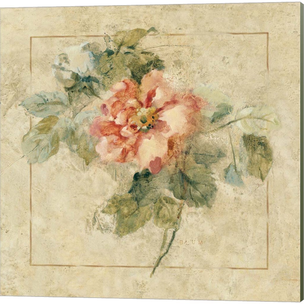 Provence Rose by Cheri Blum 14" x 14" Canvas Wall Art (Set of 2)