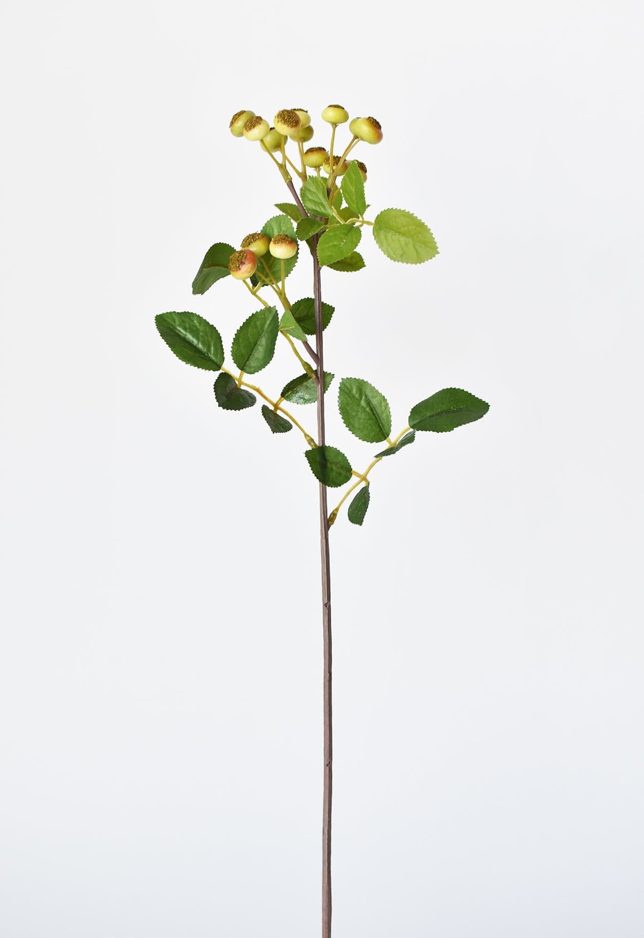 23&#x22; Faux Rosehip Berry Stem