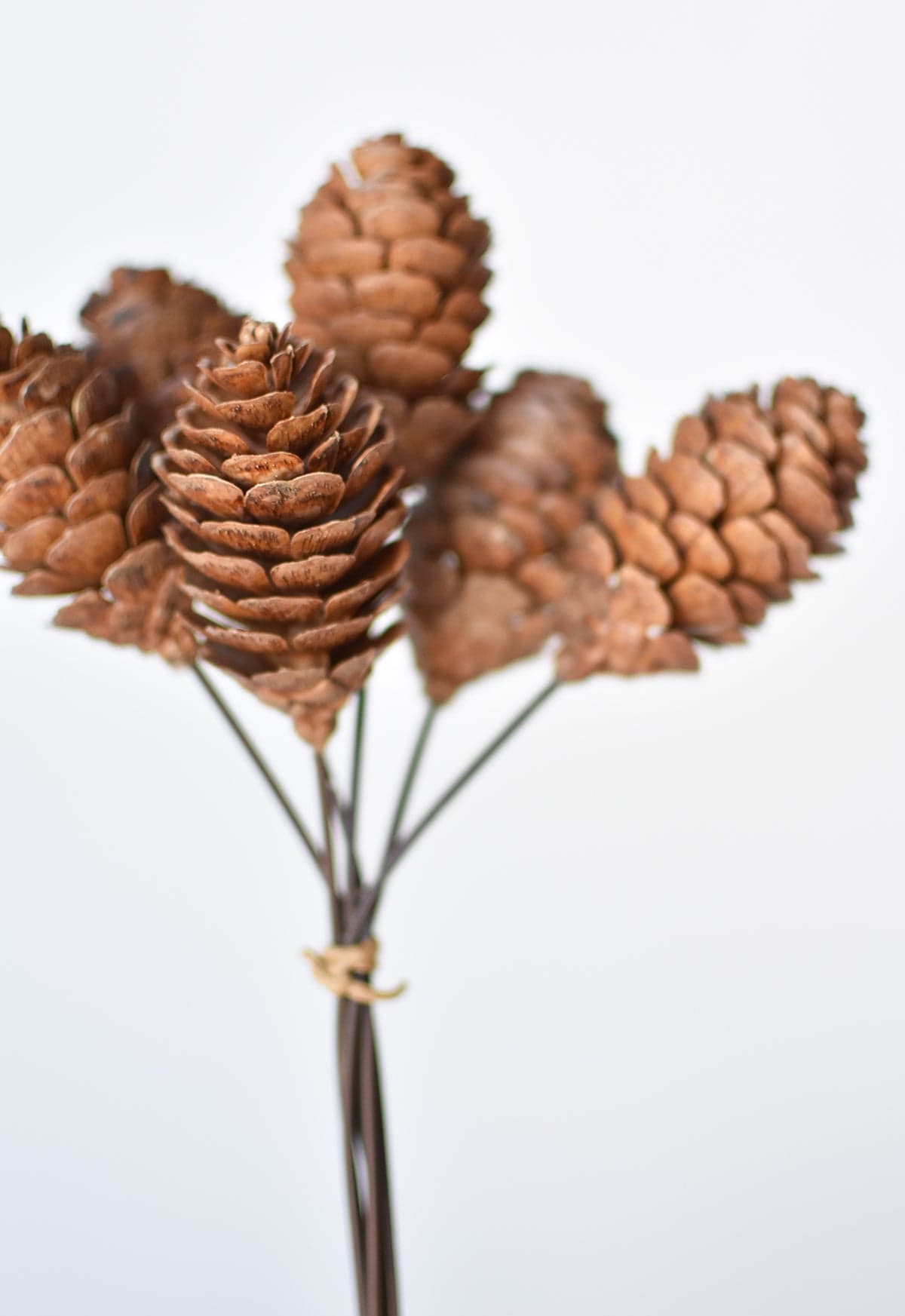 10&#x22; Faux Pinecone Stem Bundle
