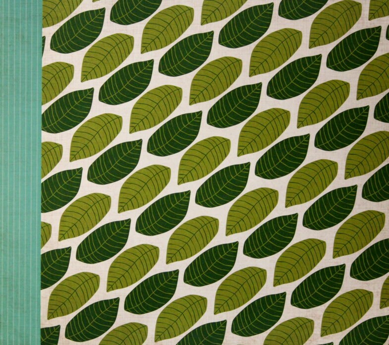 Echo Park 12 x 12 Jungle Safari Canopy Leaves DoubleSided Scrapbook