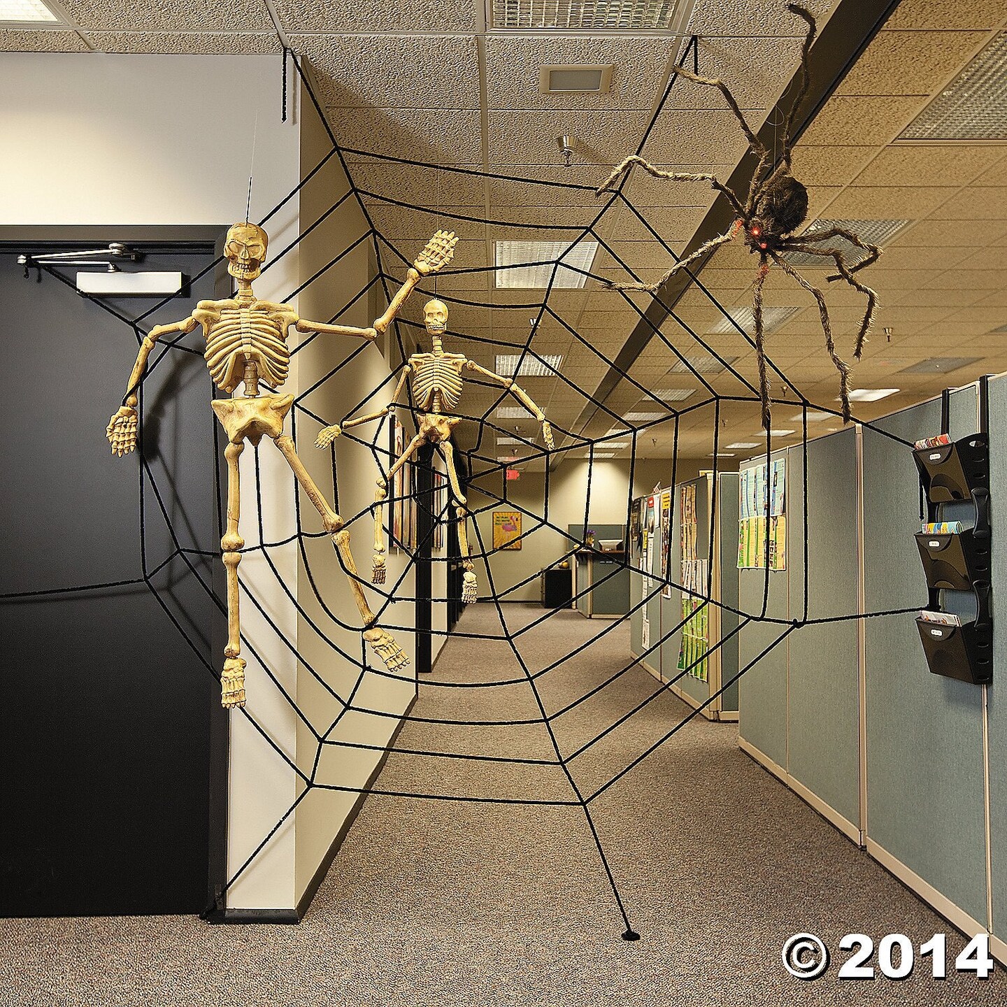 JUMBO 11FT PLUS HALLOWEEN CREEPY SPIDER WEB!