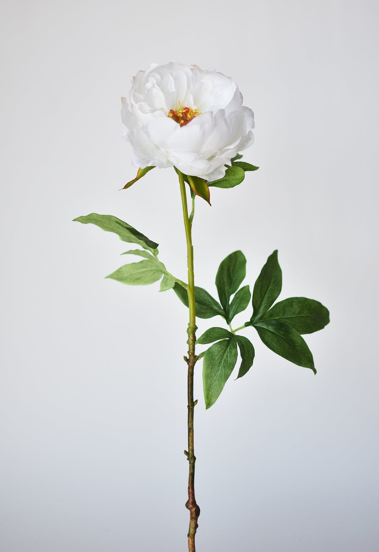 22&#x22; Faux White Peony Stem