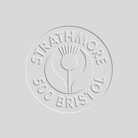 BRISTOL 4PLY VELLUM SURFACE SHEETS 23X29 Michaels