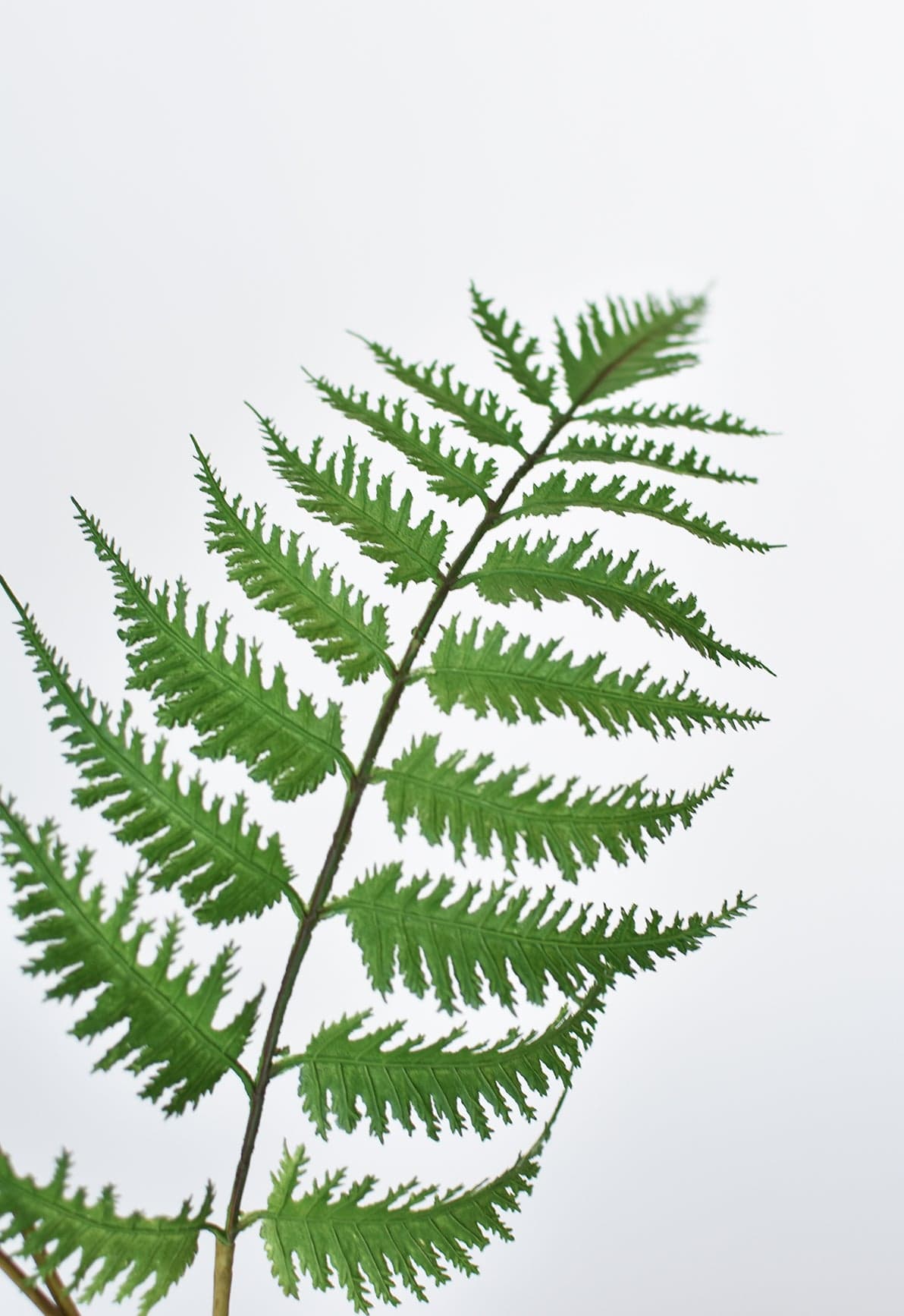 33&#x22; Faux Forest Fern Spray