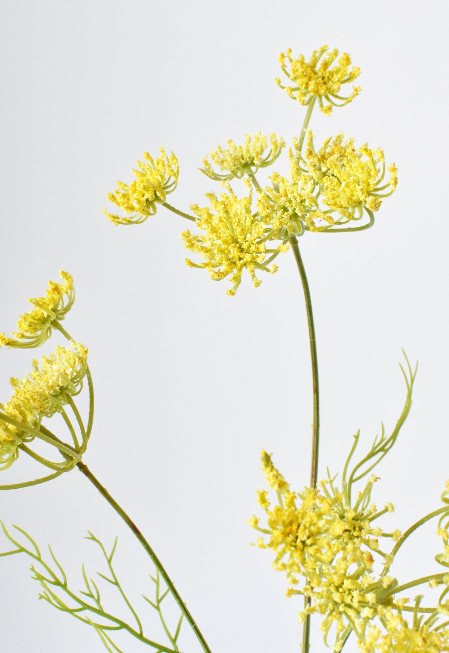 20.5&#x22; Faux Yellow Queen Anne&#x27;s Lace Stem
