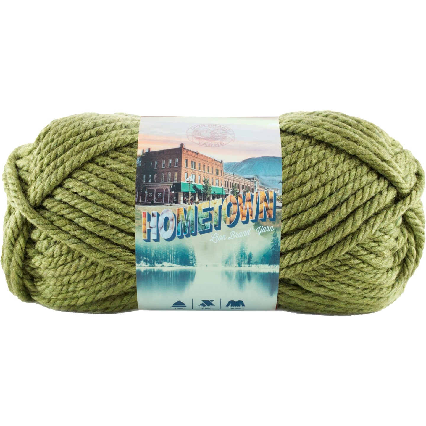 Multipack of 24 - Lion Brand Hometown Yarn-Oklahoma City Green