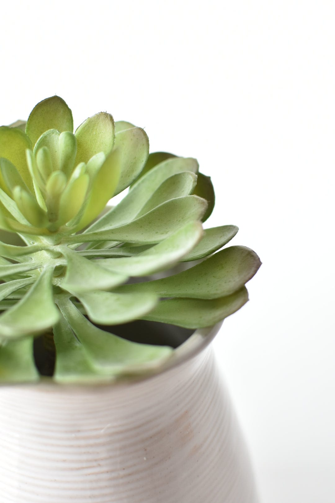 6&#x22; Faux Soft Aeonium Succulent Pick