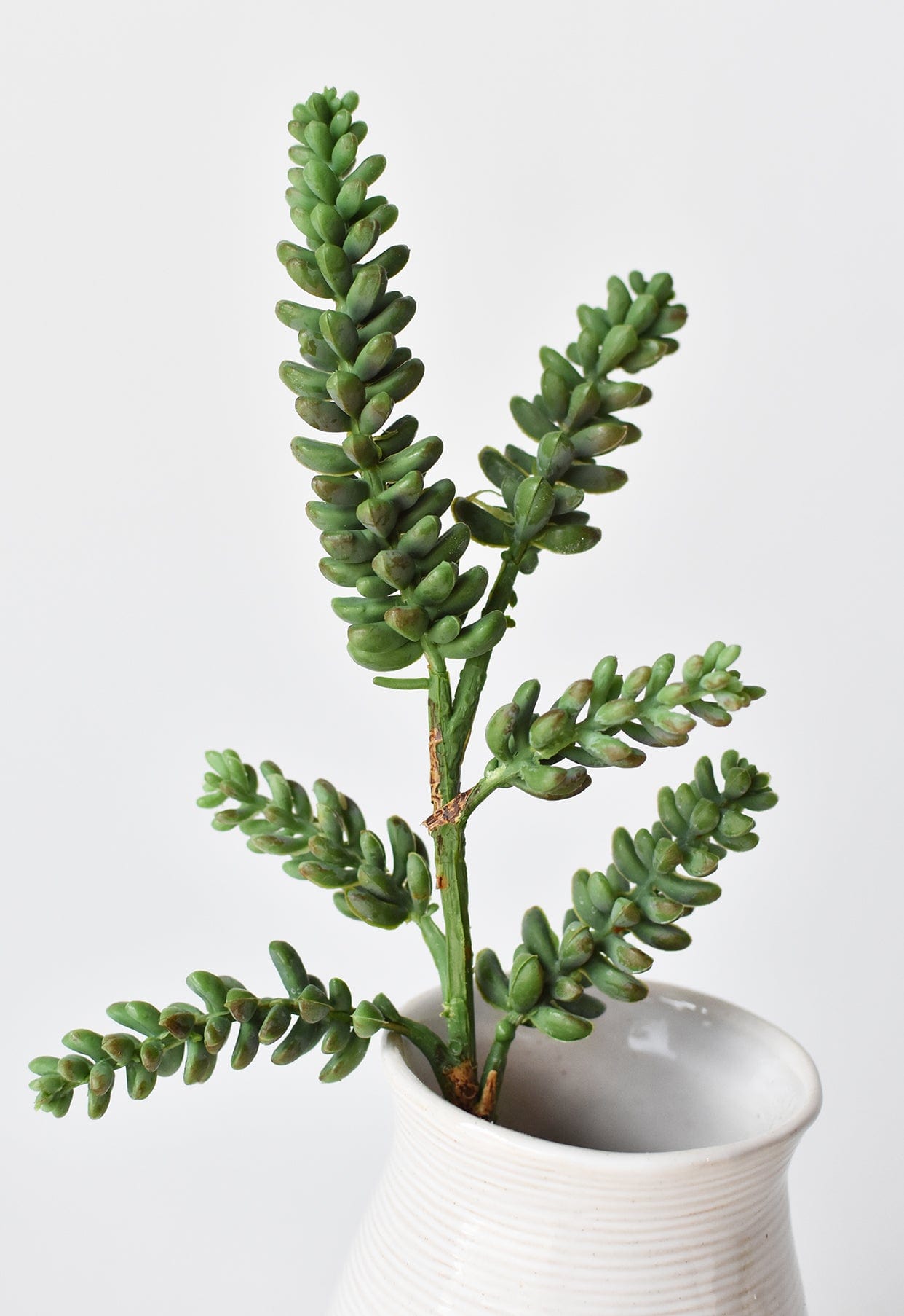 13&#x22; Faux Green Monkey Tail Stem