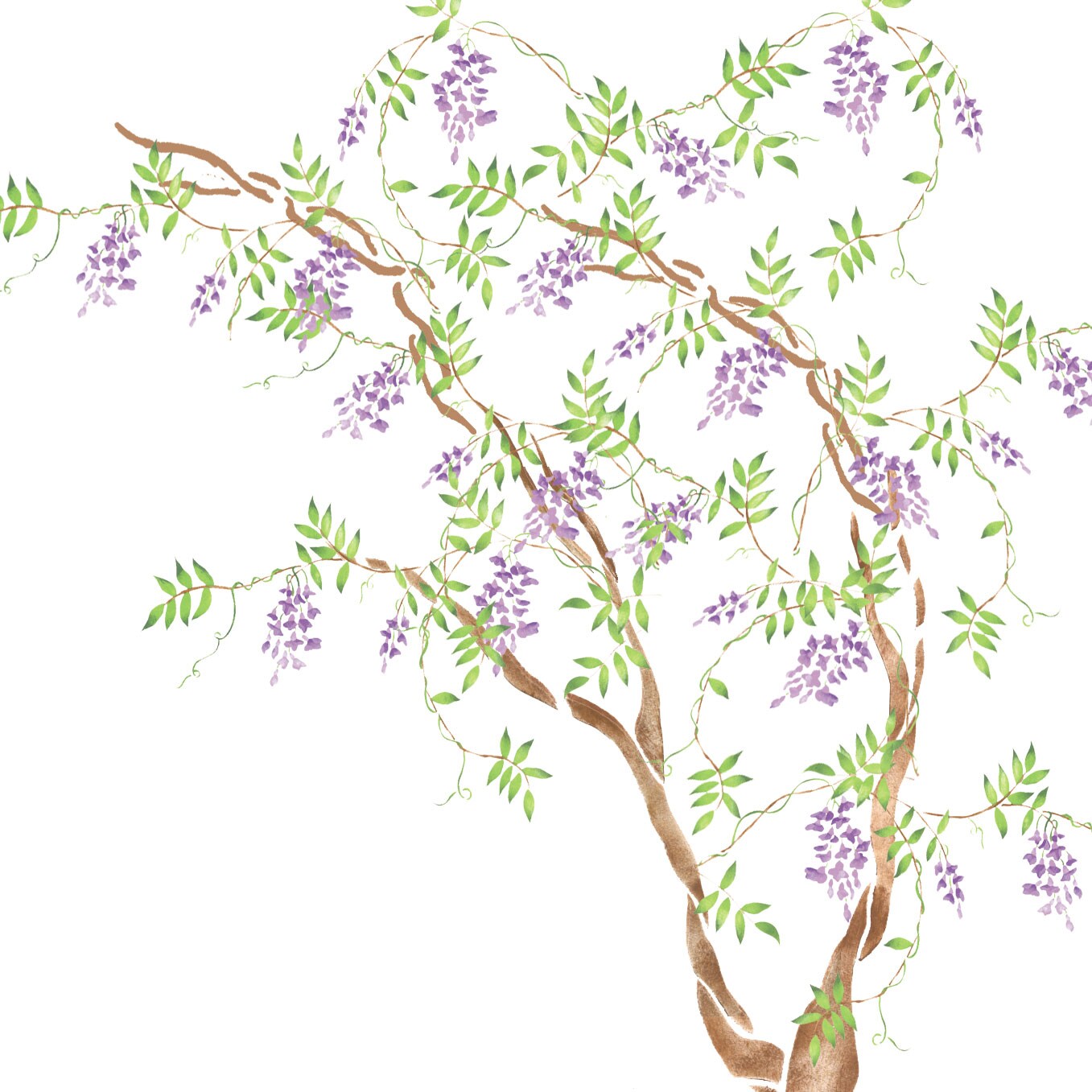 Wisteria Tree Wall Stencil | 2904 by Designer Stencils | Animal &#x26; Nature Stencils | Reusable Art Craft Stencils for Painting on Walls, Canvas, Wood | Reusable Plastic Paint Stencil for Home Makeover | Easy to Use &#x26; Clean Art Stencil
