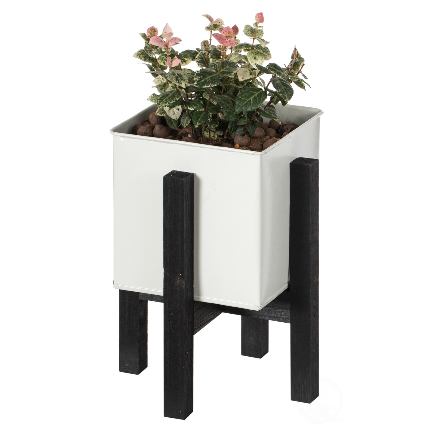 Indoor and Outdoor White Iron Planting Box with Black Wooden Frame