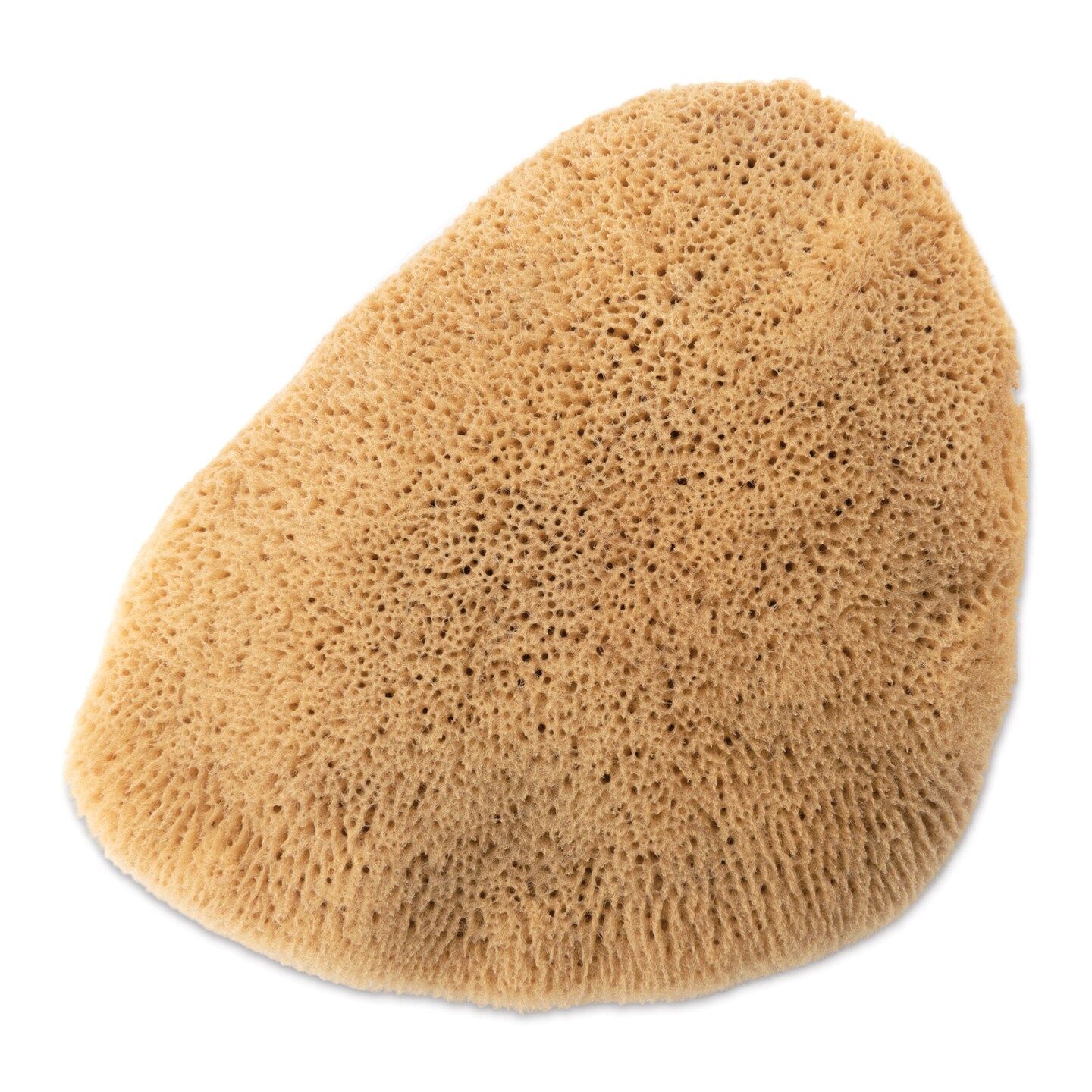 Royal &#x26; Langnickel Elephant Ear Sponge - 4&#x22; to 4-1/2&#x22;