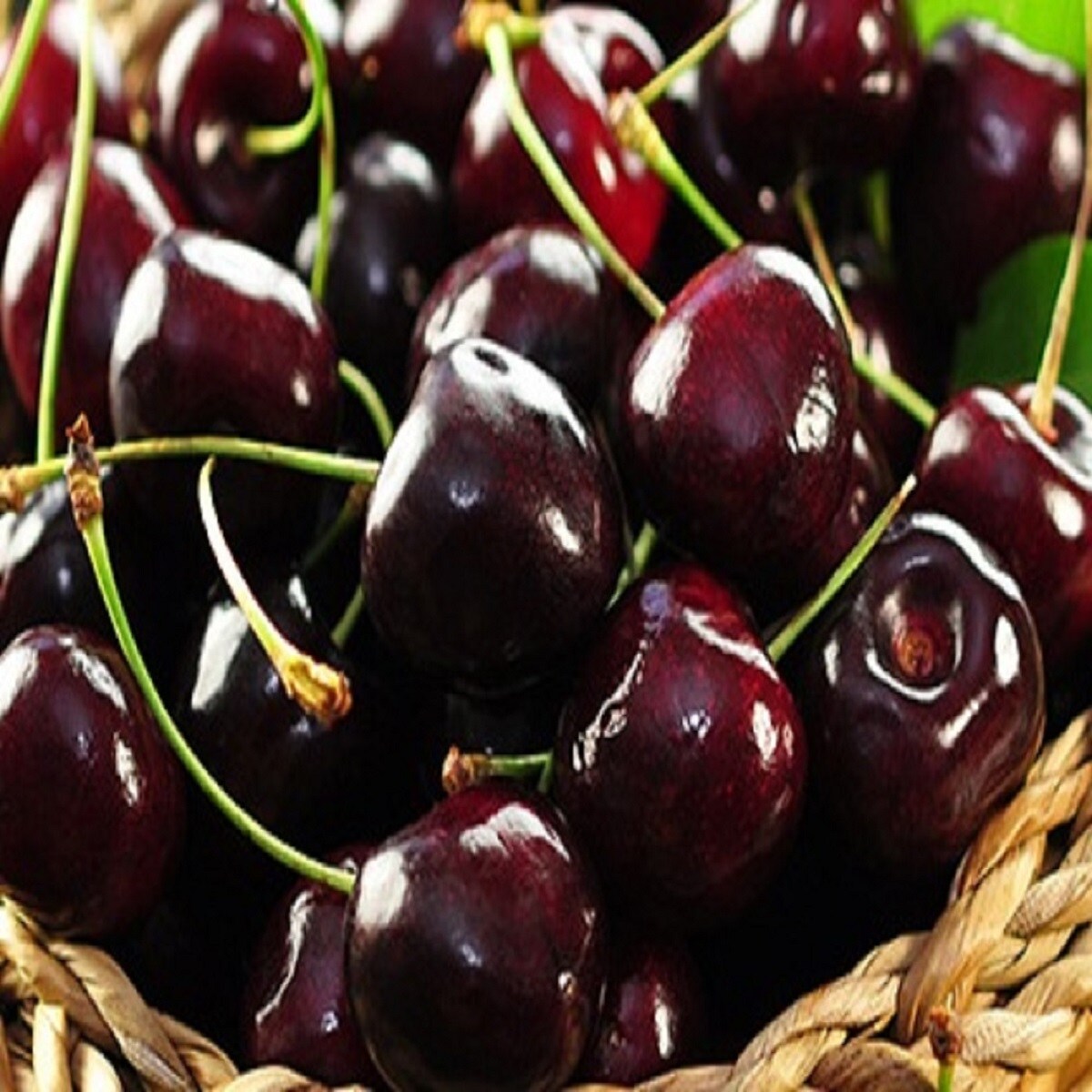 Black Cherry Fragrance Oil (Our Version of the Brand Name) (8 oz Bottle) for Candle Making, Soap Making, Tart Making, Room Sprays, Lotions, Car Fresheners, Slime, Bath Bombs, Warmers&#x2026;