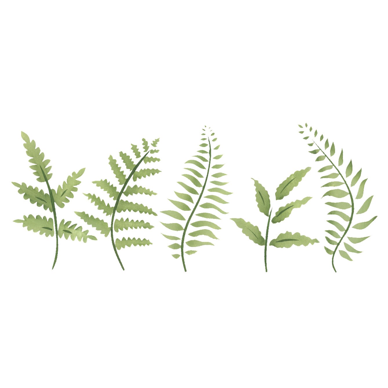 Fern Leaves Wall Stencil | 995 by Designer Stencils | Floral Stencils | Reusable Easy to Use & Clean Art Stencil