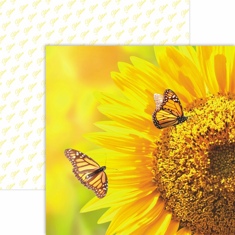 Nature&#x27;s Angels Paper - Sisters - Reminisce