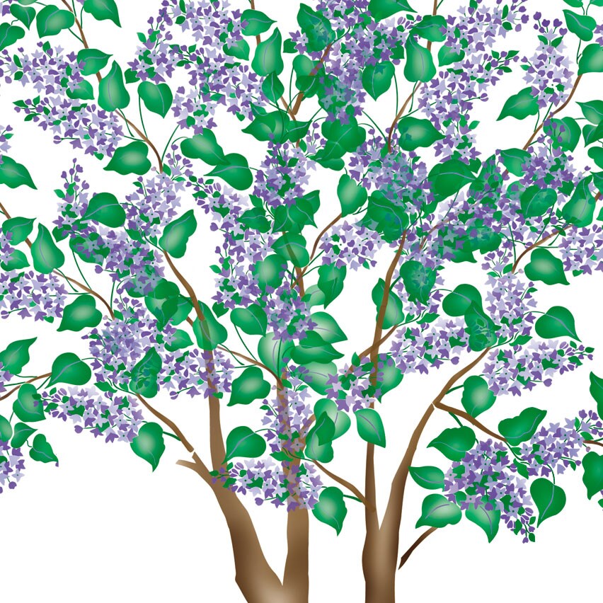 Large Lilac Tree Wall Stencil | 3347 by Designer Stencils | Floral Stencils | Reusable Art Craft Stencils for Painting on Walls, Canvas, Wood | Reusable Plastic Paint Stencil for Home Makeover | Easy to Use &#x26; Clean Art Stencil