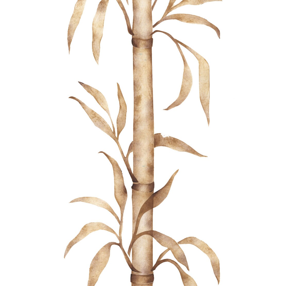 Bamboo Wall Stencil | 3024 by Designer Stencils | Reusable Art Craft Stencils for Painting |
